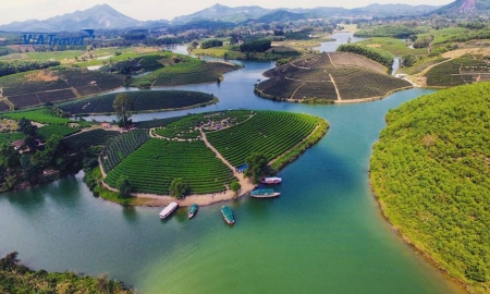 Check in “sống ảo” đảo chè Thanh Chương