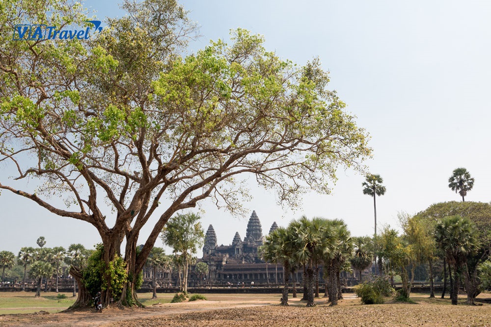 Đền Angkor Wat nằm cách tỉnh Xiêm Riệp khoảng 6km về phía bắc