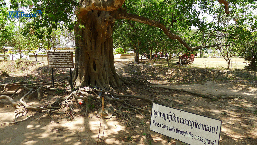 Nơi chôn cất tập thể của hàng ngàn người dân Campuchia
