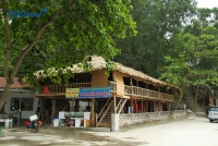 Bãi biển mới ở Thanh Hóa - Sự lựa chọn tuyệt vời dành cho bạn!