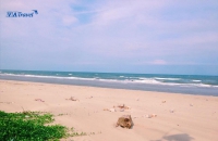 Chia sẻ những bí quyết du lịch biển Hải Hòa hay nhất