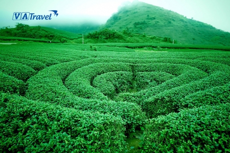 DU LỊCH MỘC CHÂU SƠN LA MÙA NÀO LÀ ĐẸP NHẤT?