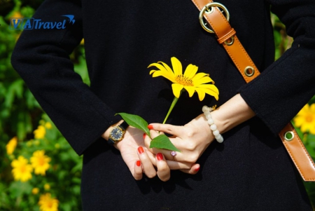 Vẻ đẹp bình dị của các mùa hoa Mộc Châu!