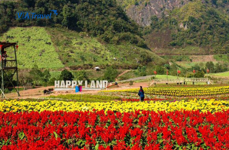 Những địa điểm tham quan ở Mộc Châu mà chúng ta không nên bỏ lỡ...