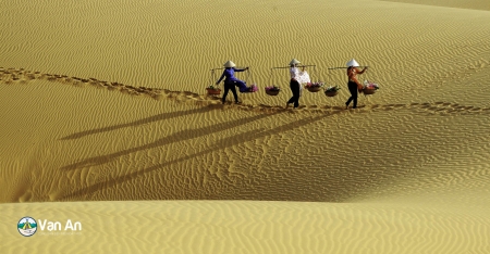 Các phong cảnh đẹp ở Việt Nam, thiên đường địa điểm check in “cháy máy”. 