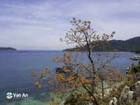 Lịch trình du lịch Đà Nẵng 4 ngày 3 đêm: Khám phá vùng đất đáng sống