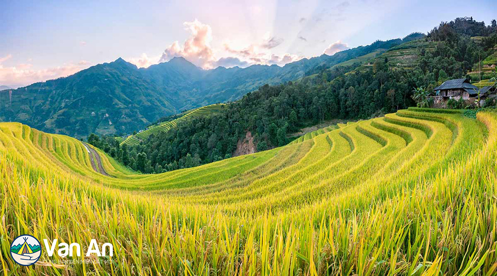 Tour Hà Nội – Hoàng Su Phì - Xín Mần - Bắc Hà (3 Ngày 2 Đêm)