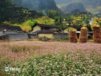 Du lịch Hà Giang 3 ngày 2 đêm tự túc, thời điểm đẹp khi ghé qua Hà Giang. 