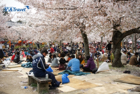 TOUR HÀ NỘI – NHẬT BẢN MÙA HOA ANH ĐÀO (5 NGÀY 4 ĐÊM) – (OSAKA – CỐ ĐÔ KYOTO – GIFU – NAGOYA – NARA)