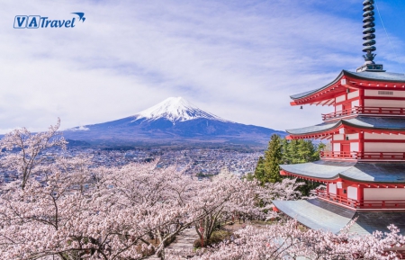 TOUR NGẮM HOA ANH ĐÀO TẠI NHẬT BẢN (5 NGÀY 4 ĐÊM) – (TOKYO – ODAIBA – HAKONE – NÚI FUJI- LÀNG CỔ OSHINO HAKKAI)