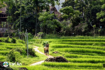 TOUR PÙ LUÔNG (2 NGÀY 1 ĐÊM)
