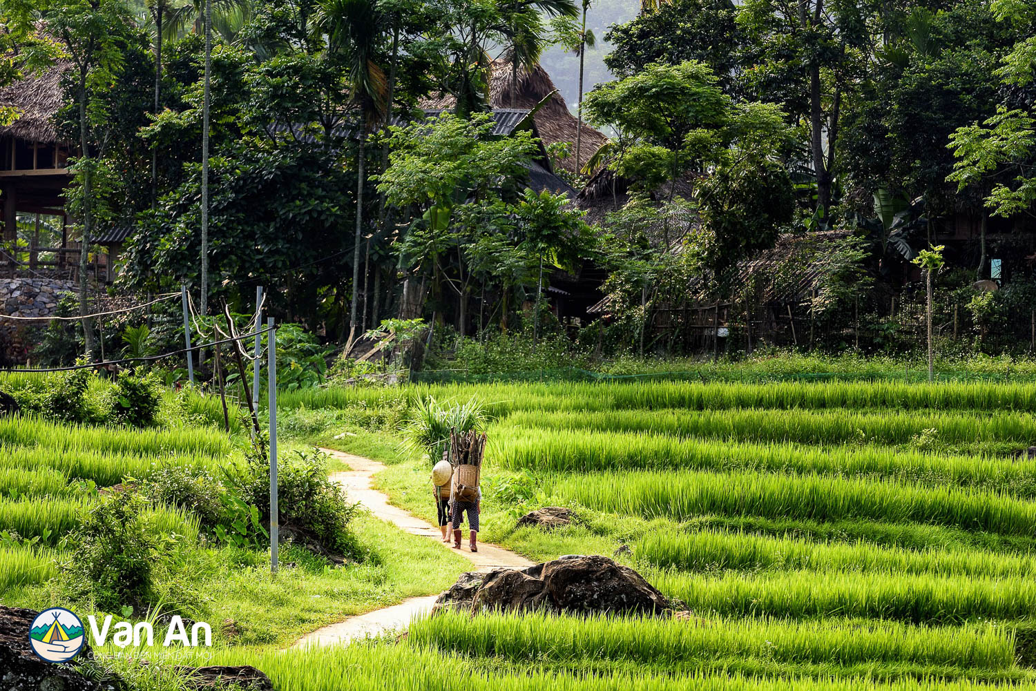 TOUR PÙ LUÔNG (3 NGÀY 2 ĐÊM)