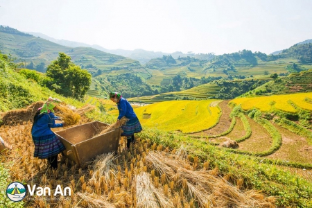 TOUR SAPA – BẢN CÁT CÁT – HÀM RỒNG – FANSIPAN LEGEND (3 NGÀY 2 ĐÊM)
